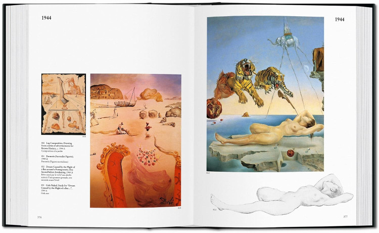 Dali: The Paintings