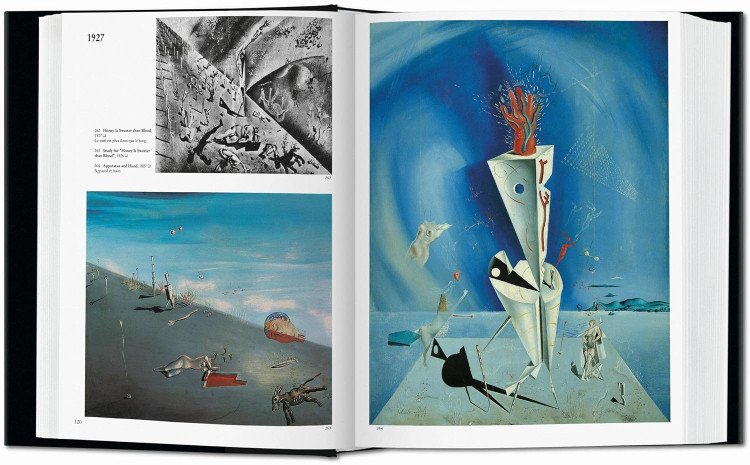 Dali: The Paintings