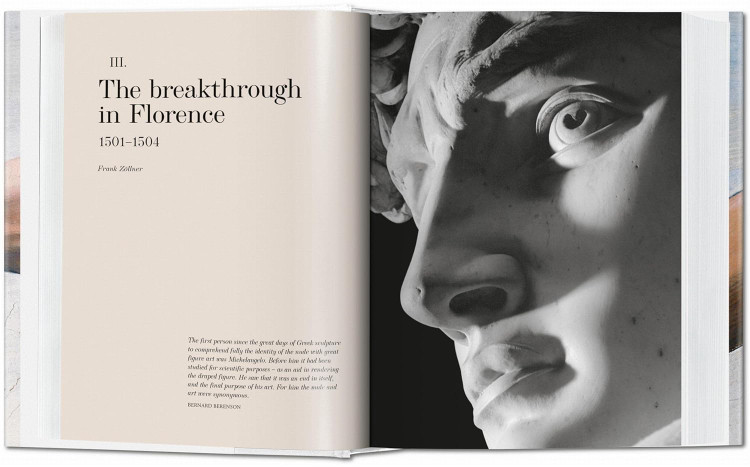 Michelangelo. The Complete Paintings, Sculptures and Arch.