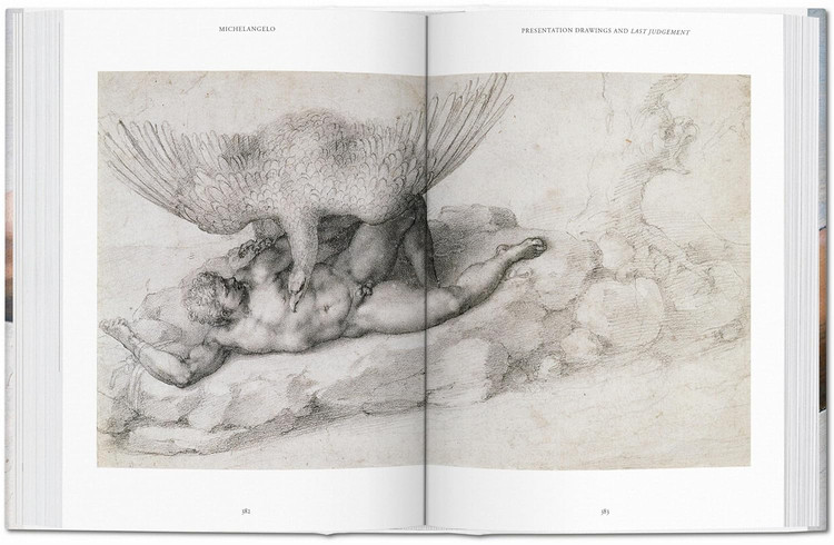 Michelangelo. The Complete Paintings, Sculptures and Arch.