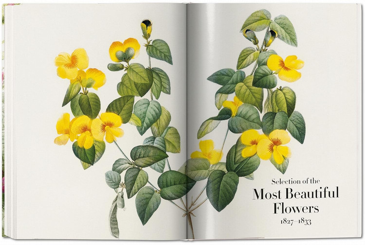 Redouté. The Book of Flowers