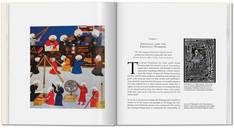 The Secret Code: The Mysterious Formula That Rules Art, Nature, and Science