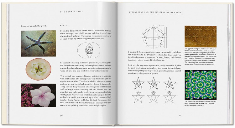 The Secret Code: The Mysterious Formula That Rules Art, Nature, and Science