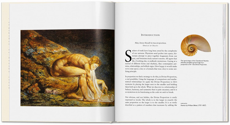 The Secret Code: The Mysterious Formula That Rules Art, Nature, and Science