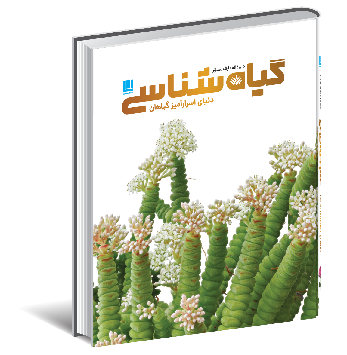 دایره المعارف مصور گیاه‌شناسی